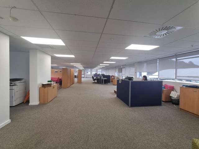 23 Blenheim street Upper Hutt_4