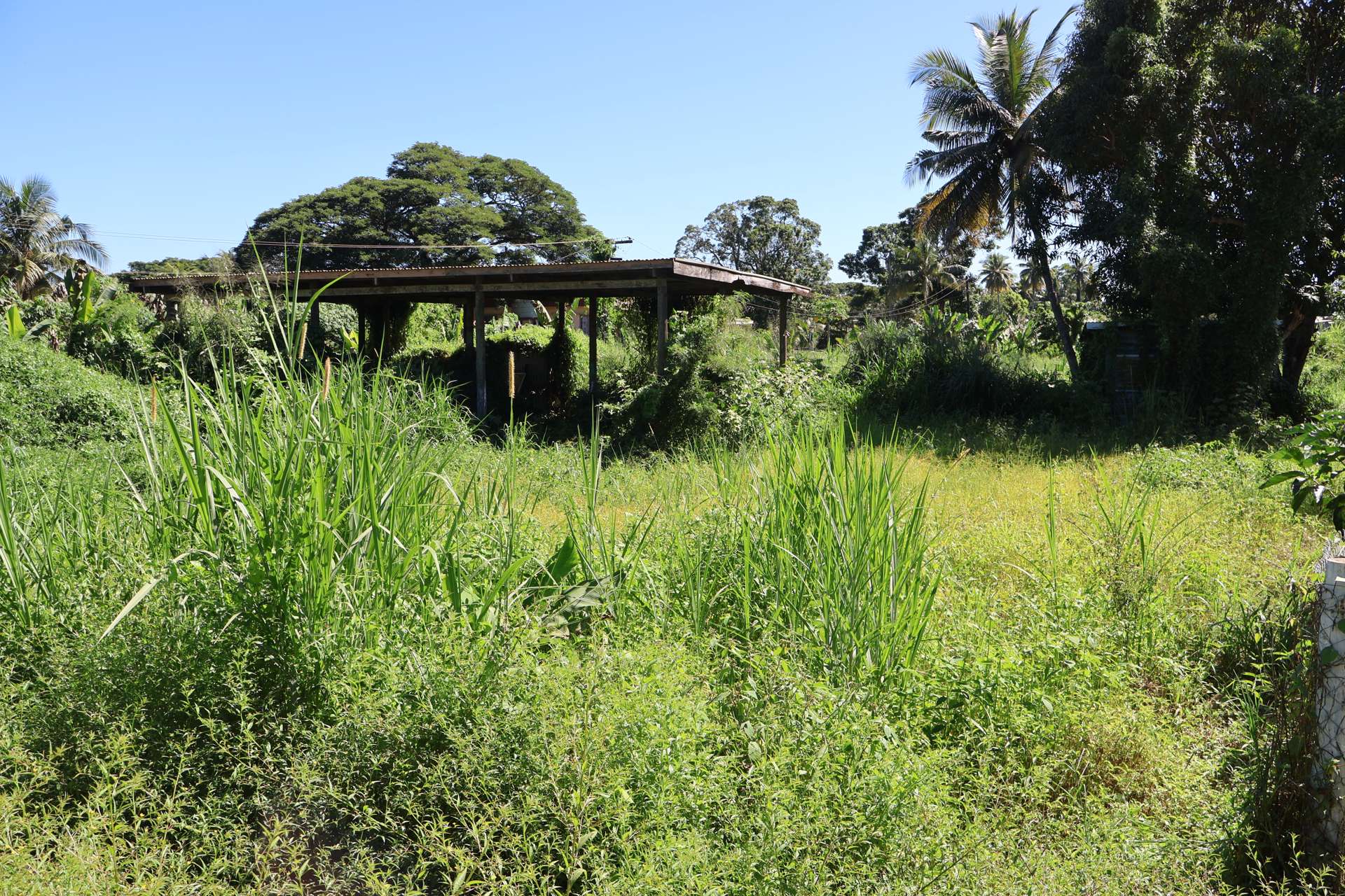 Lot 1 Navo Stable Road Nadi_0