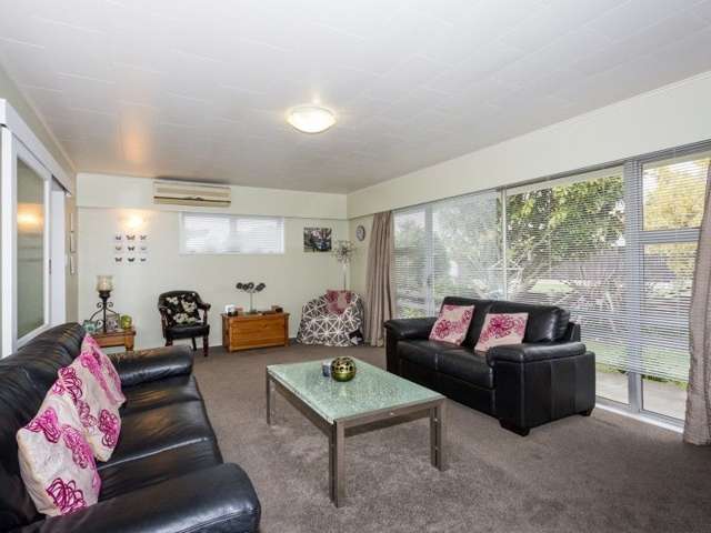 38 Freyberg Avenue Tamatea_2