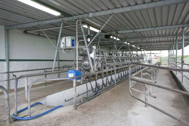 21 Grayden Road Morrinsville_5