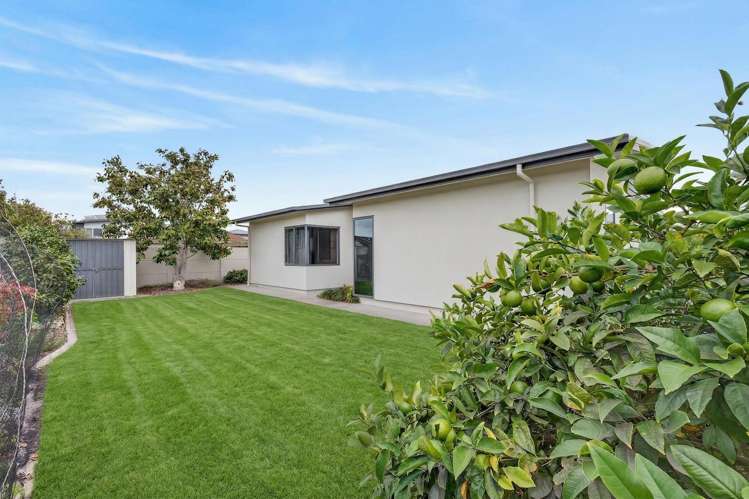 106 Auckland Road Greenmeadows_22