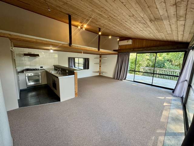 36B Comins Crescent Mission Bay_1