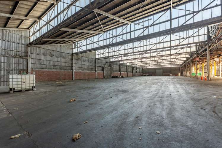62 Hayes Street Timaru Port_3