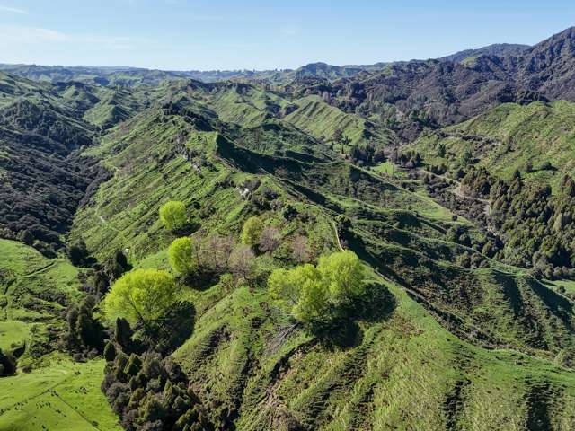 56 Makakahi Road Ruapehu-King Country Surrounds_4