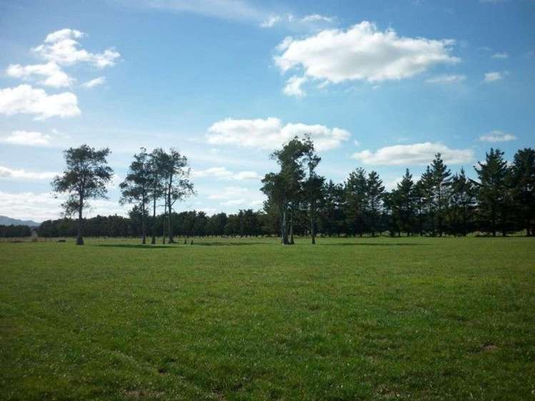 175 Awakino Point East Road Dargaville Surrounds_11