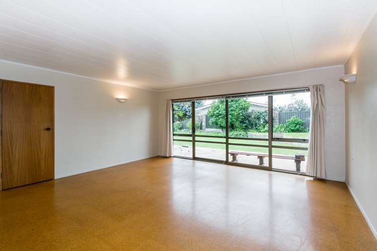 92 Freyberg Avenue Tamatea_13