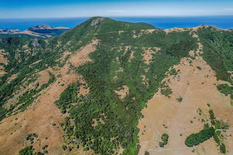 141 Stony Bay Road Akaroa_6