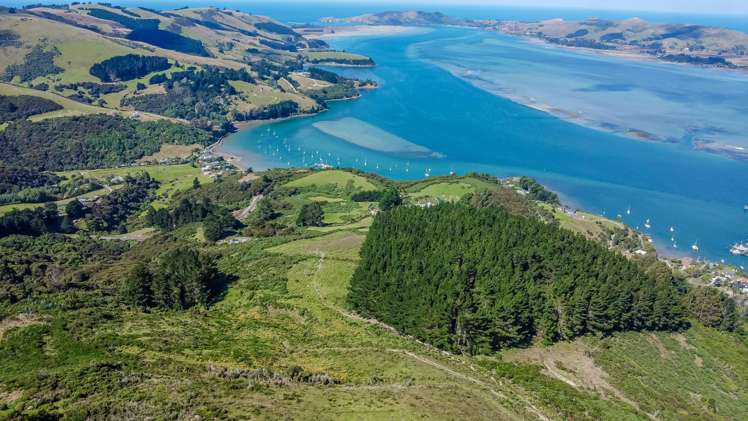 212 Blueskin Road RD1 9081 Port Chalmers_17