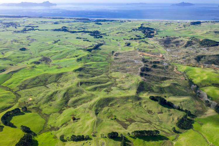 North Camp Road Waipu_9