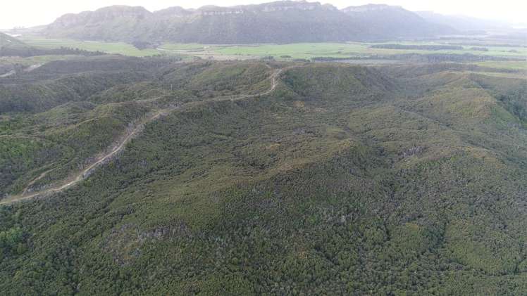 60 Snake Creek Road Kahurangi National Park_17