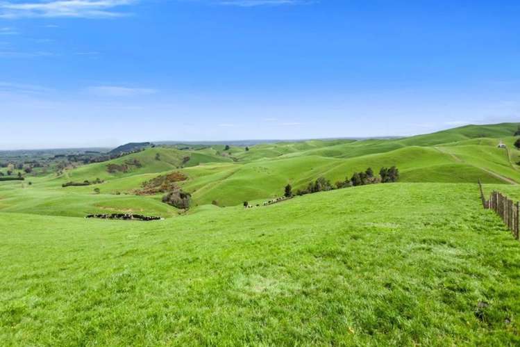 500 Tahuroa Road Tauwhare_9