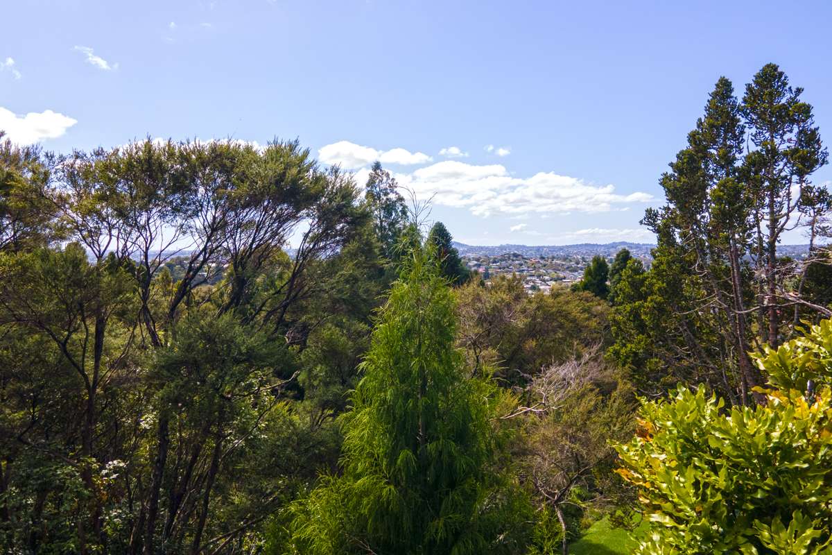 213 Godley Road_1