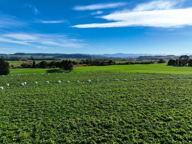 2803 Ohai Clifden Highway Orawia_3
