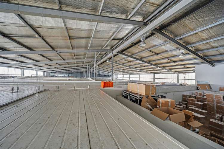 15 Ron Driver Place East Tamaki_11