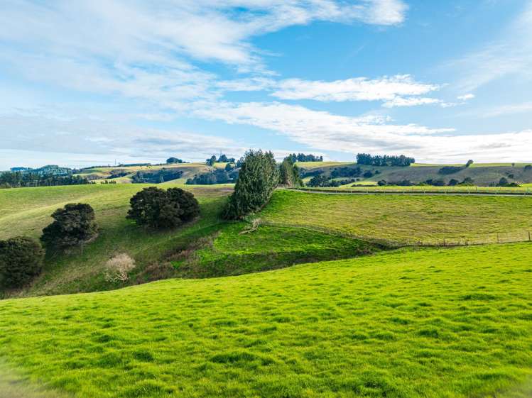 Lot 3 Te Puke Sections Milton_8