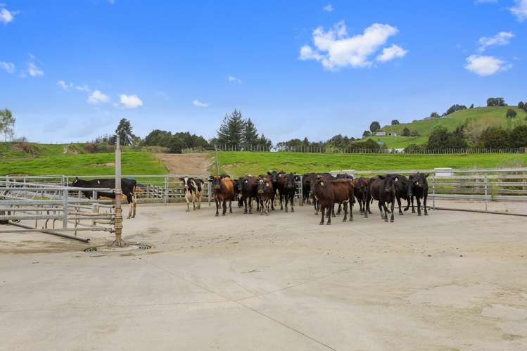 66 Kirton Road Taumarunui_14