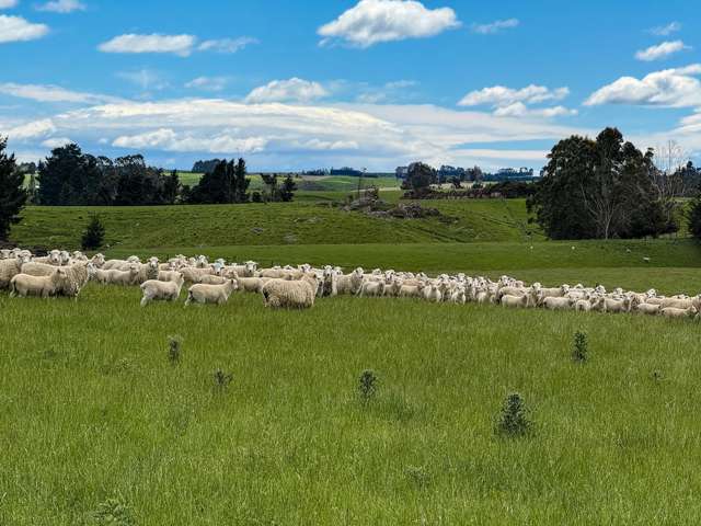 144 Block Road Pukeawa_3