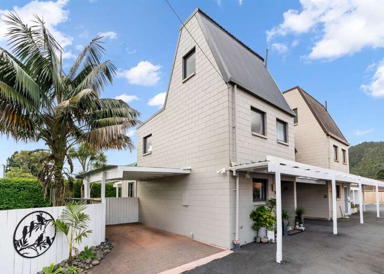 46A Mill Road Regent_10