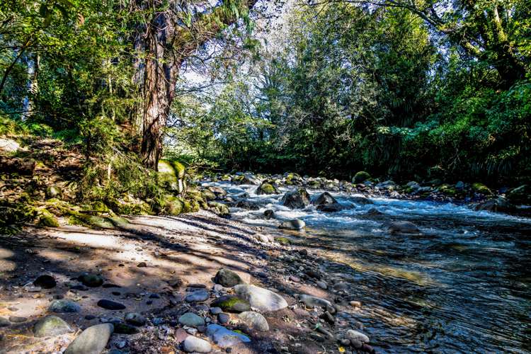 1284 Mountain Road Inglewood_42