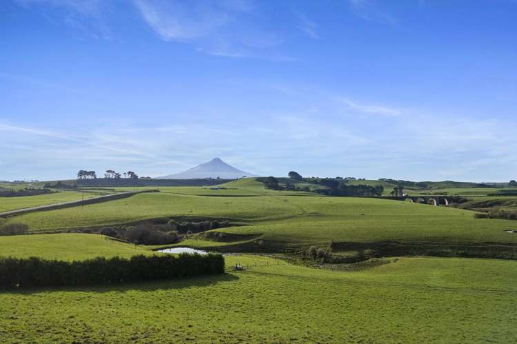 0n Skeet Road Te Roti_9