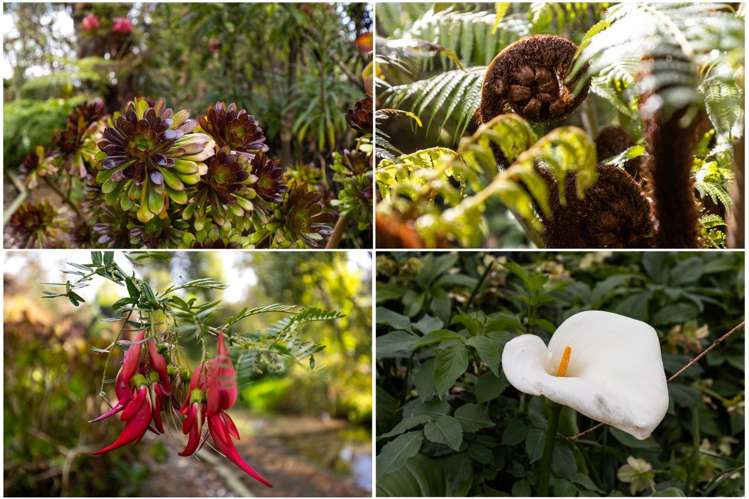 8 Ward Street Springlands_31