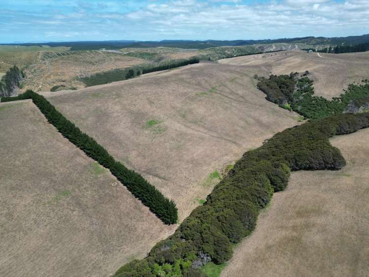 Toko Mouth Road Toko Mouth_5