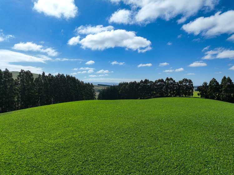 125 Tomogalak Road Ardlussa_17