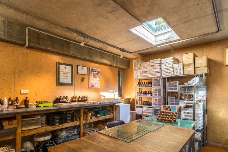 3 Honiana Te Puni Street Aro Valley_14