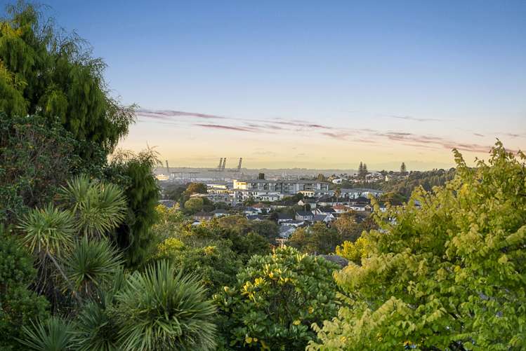 50 Saint Johns Road Saint Johns_23