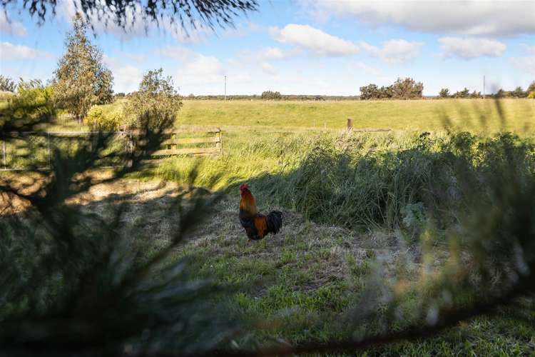 26 Criglingtons Road Sefton_17