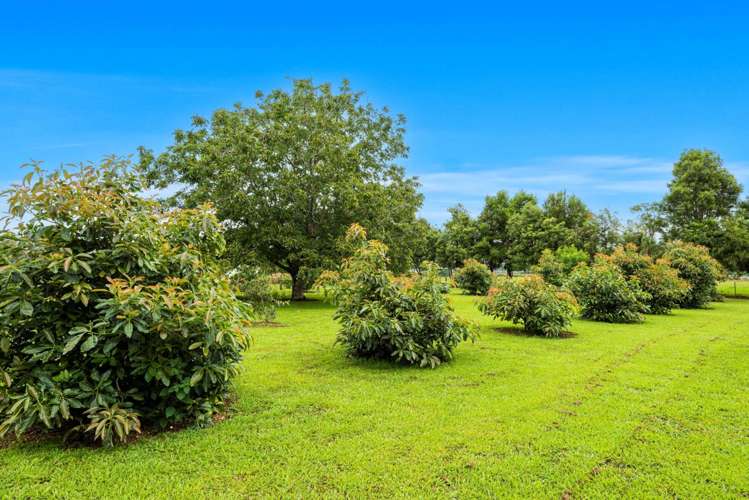 494 Mangakahia Road Maungatapere_24