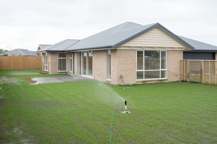 41 Clausen Avenue Leeston_1