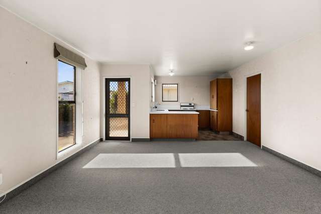 11B Waterhouse Street Taradale_2