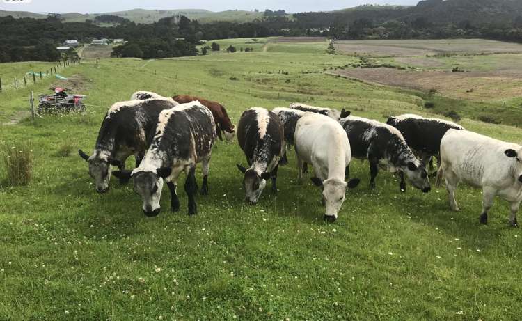 37 Taumata Road Taipa_21