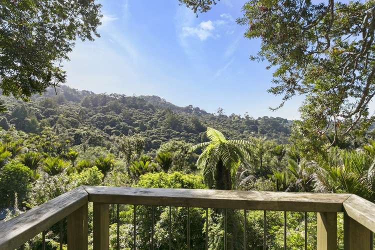 16 Tainui Road Titirangi_10
