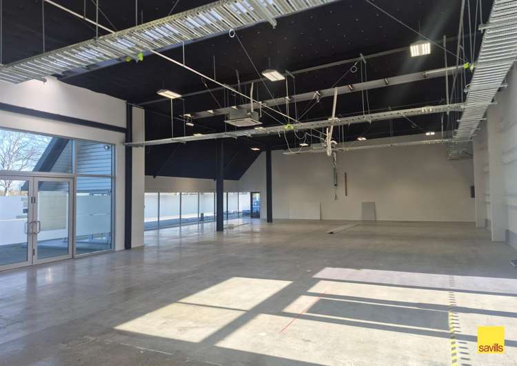 241 Brougham Street Sydenham_5