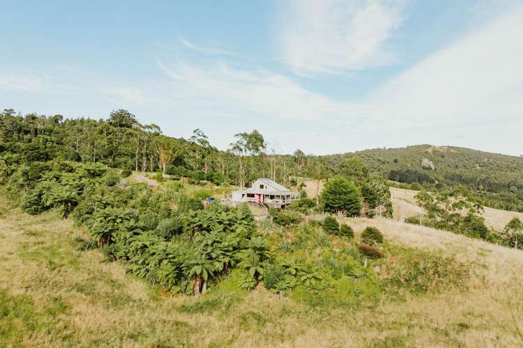 State Highway 12 Waimamaku_15