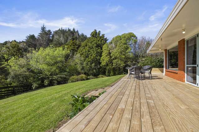 1058 Old Mountain Road Raglan_4