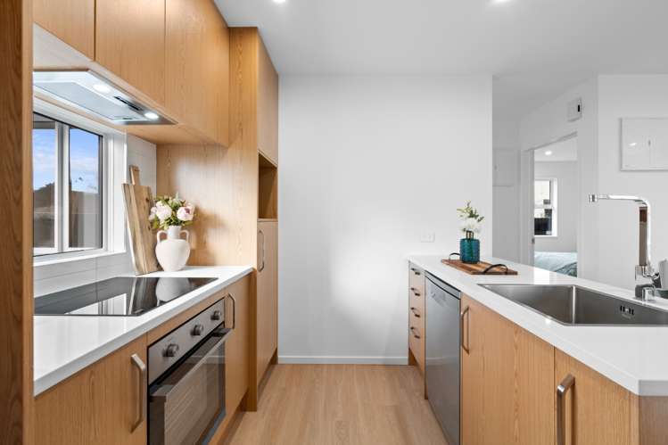 193 Selwyn Street Spreydon_5