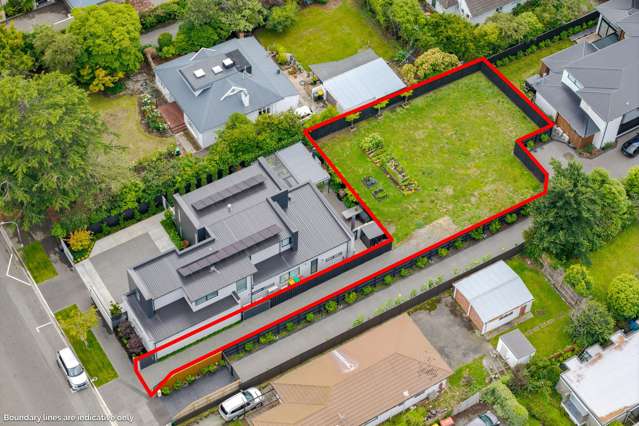 The Perfect Parcel on Puriri