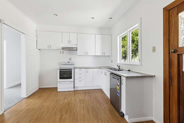 52 Wilberforce Street Miramar_4