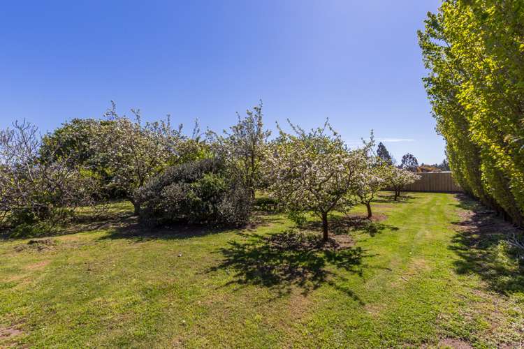 527 Springston Rolleston Road Rolleston_17