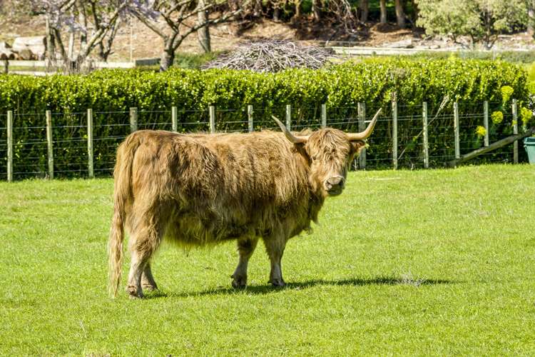 549 Middle Road Havelock North_23