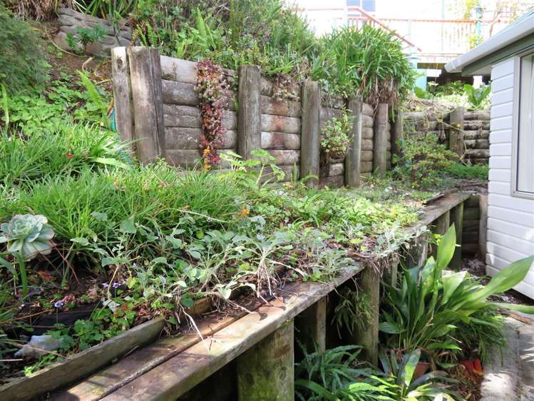 228b Waikiekie Road Thames_15