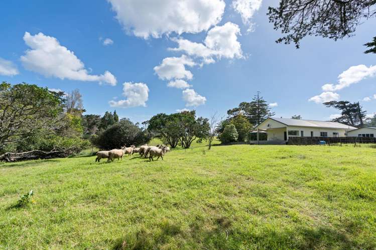 174 Kaipara Coast Highway_5