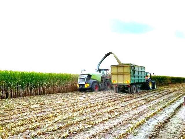 867 Waihekau Road Waitoa_3