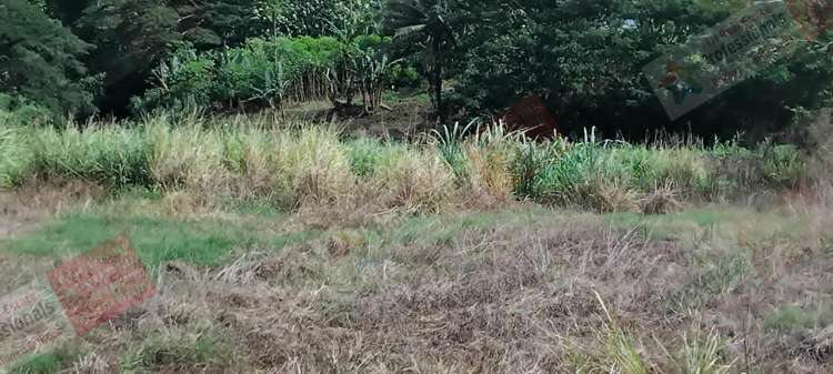 Address withheld Labasa_19