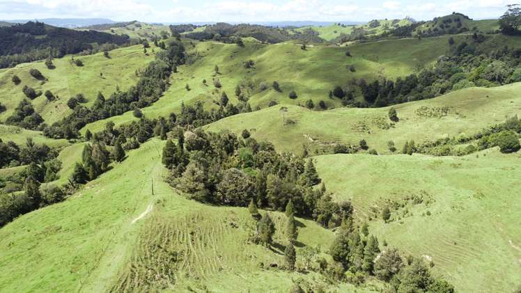 109 Paponga Road Broadwood_8