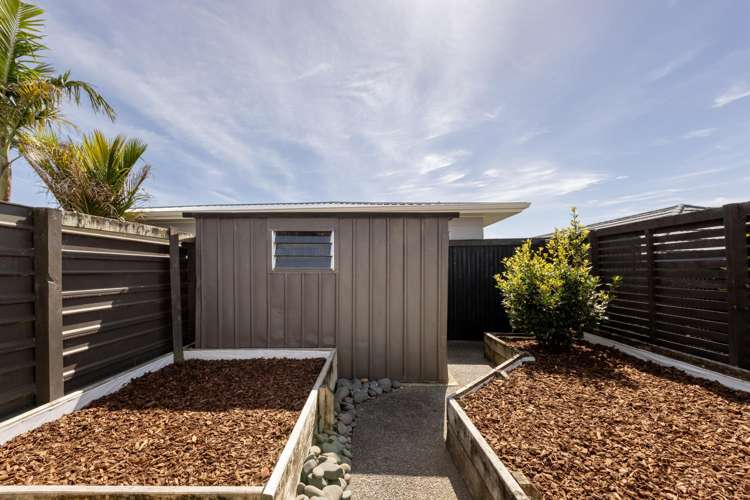 23A Maitland Street Greerton_20