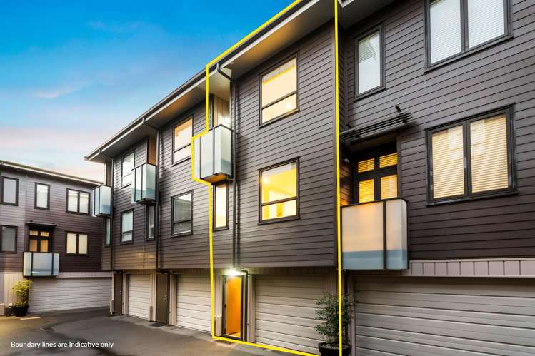 16 Harold Street Mount Eden_17